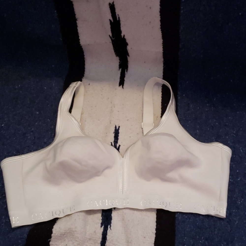 Lane Bryant sports bra 44DD